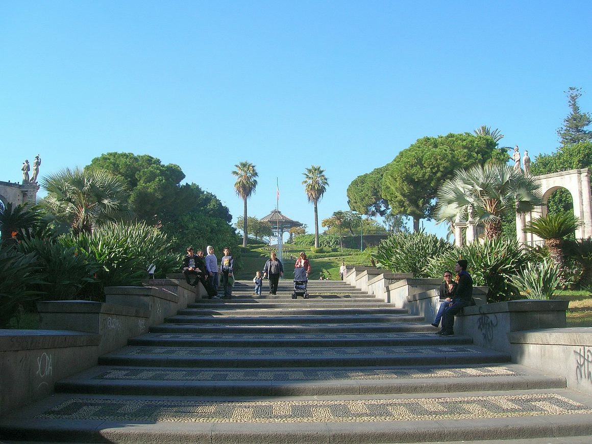 Bellini garden