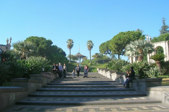 Bellini garden