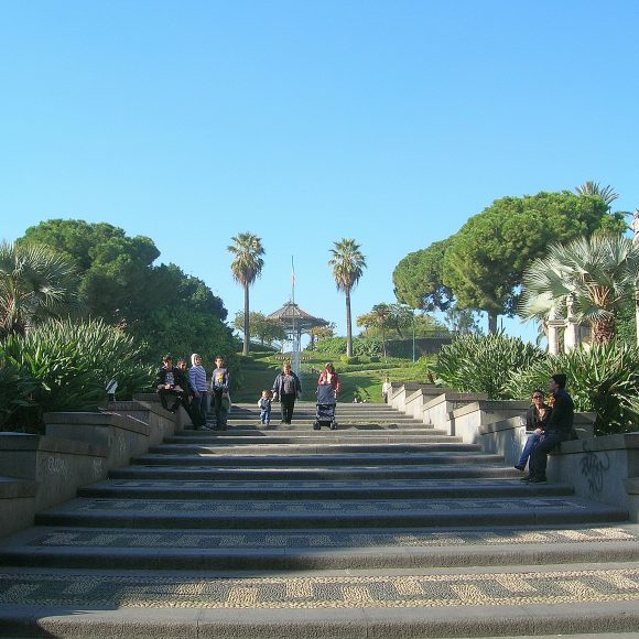 Bellini garden
